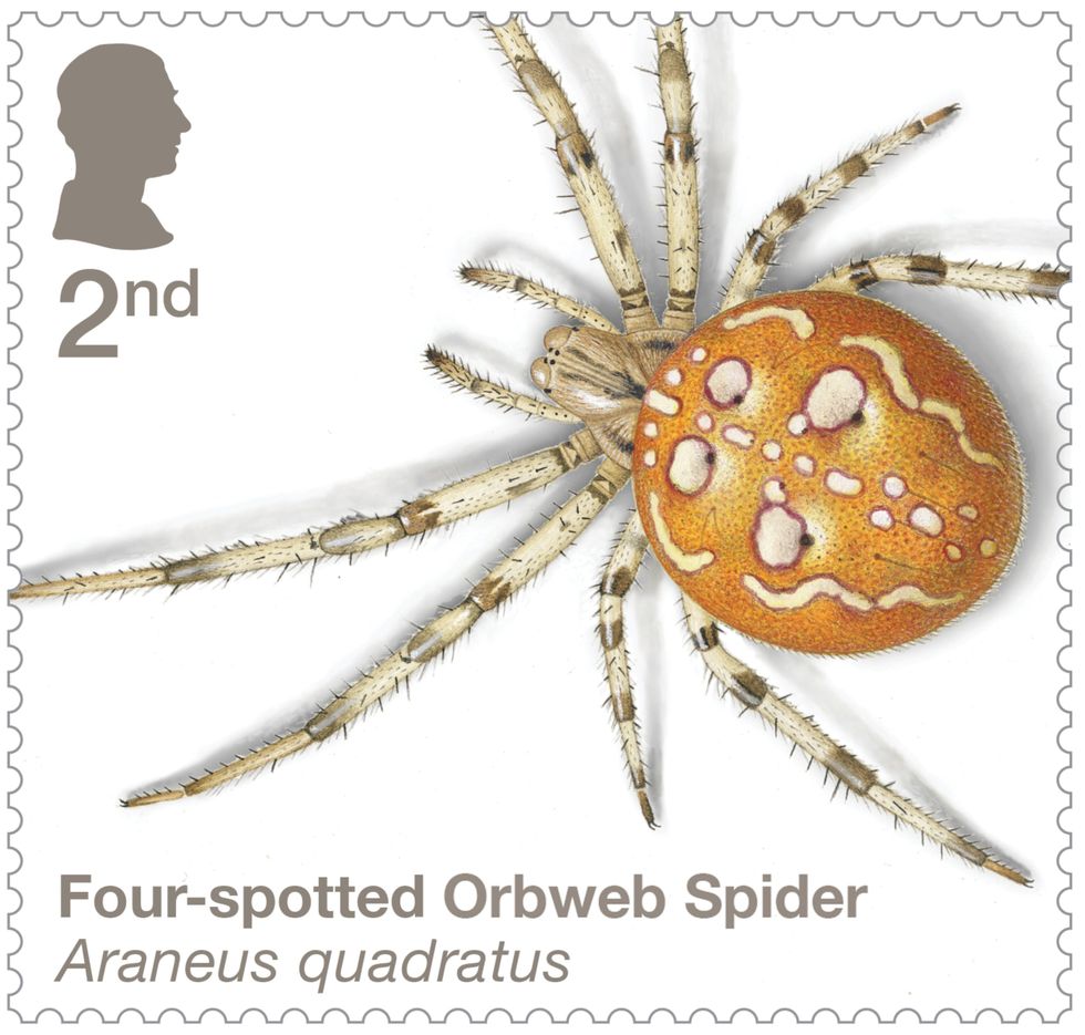 Spiders in the spotlight on new Royal Mail stamps