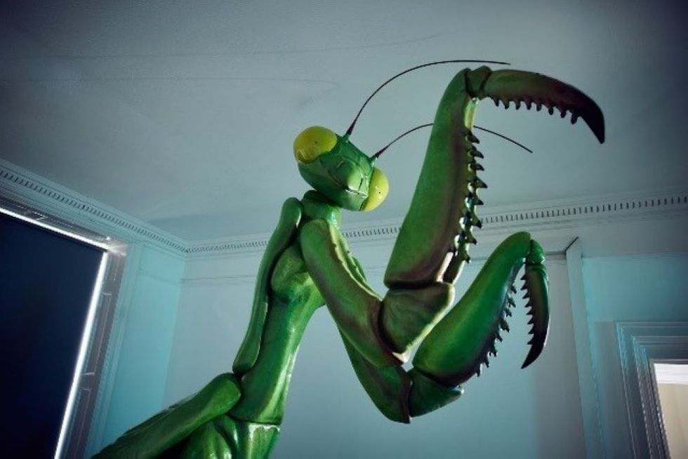 David Shrigley installs giant praying mantis sculpture at former school