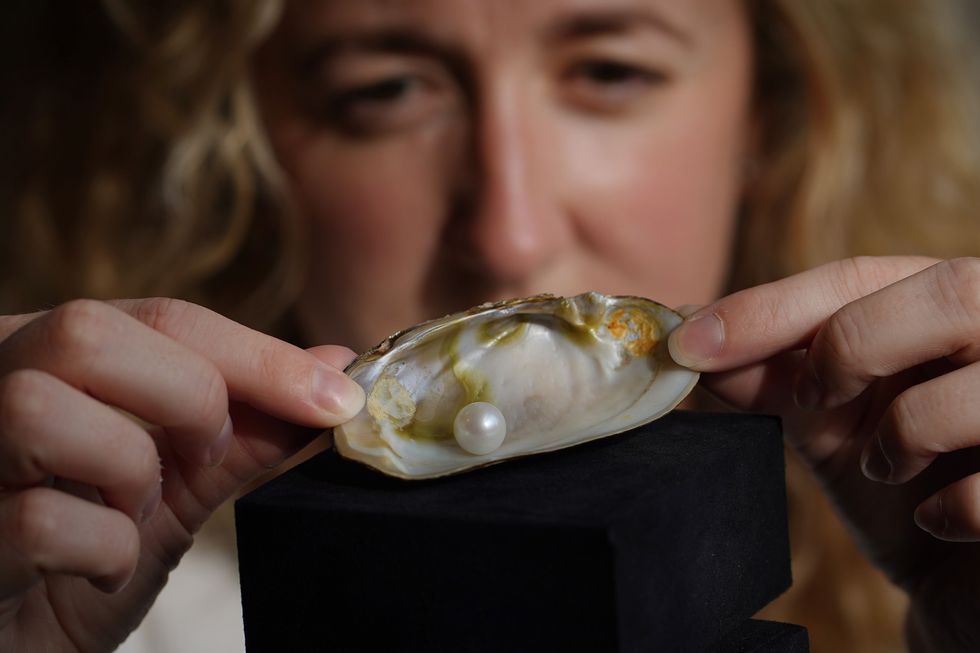 Freshwater pearl expected to fetch up to £60,000 at auction