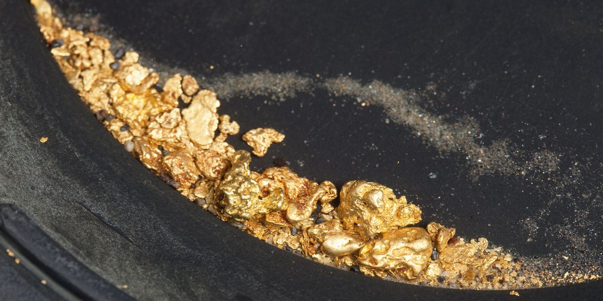Read more about the article Largest gold nugget ever found weighed as much as an adult man