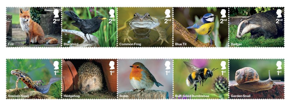 Stamps celebrating diversity of wildlife in UK gardens launched