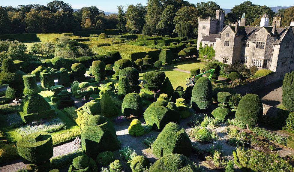 Gardeners begin mammoth six-month trim of world’s oldest topiary