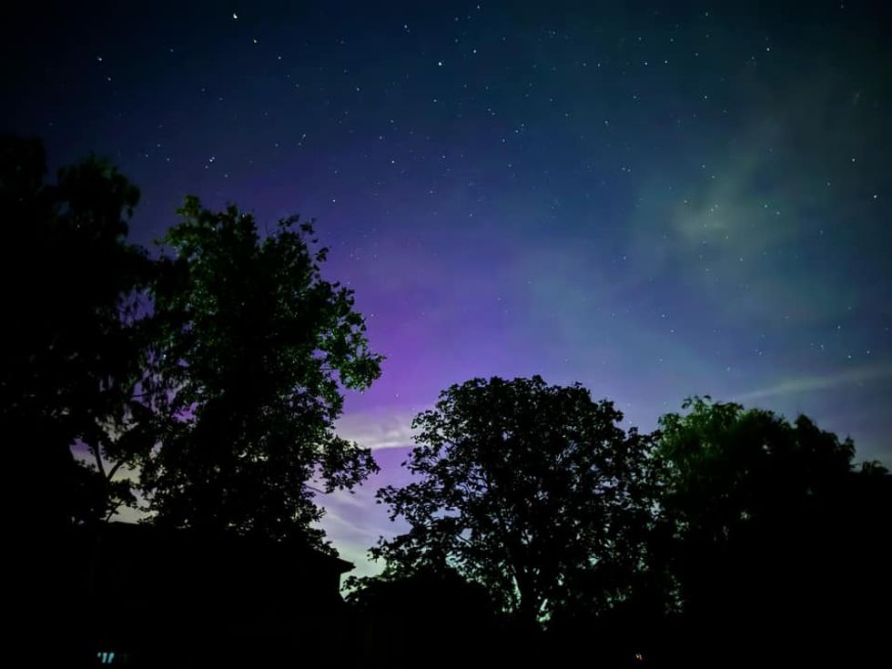 Trees with northern lights in the background