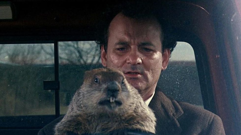 in the movie groundhog day a weatherman