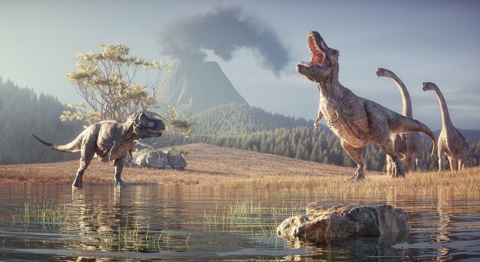 Groundbreaking discovery changes our understanding of dinosaur ...